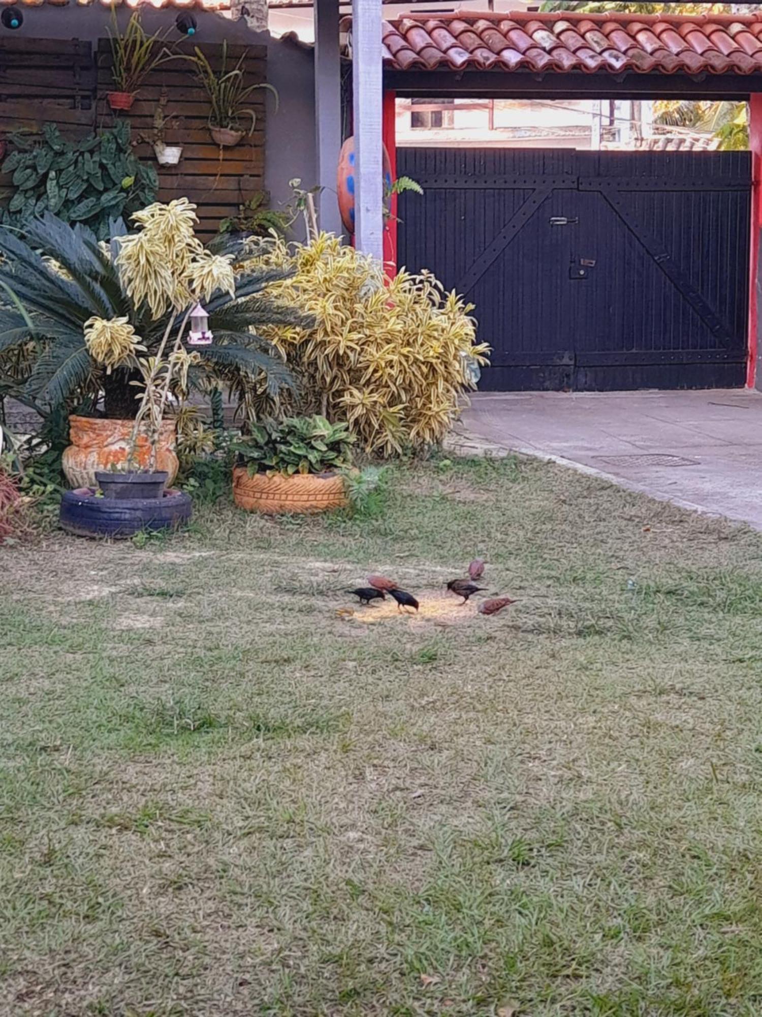 Pousada Flora Buzios Dış mekan fotoğraf