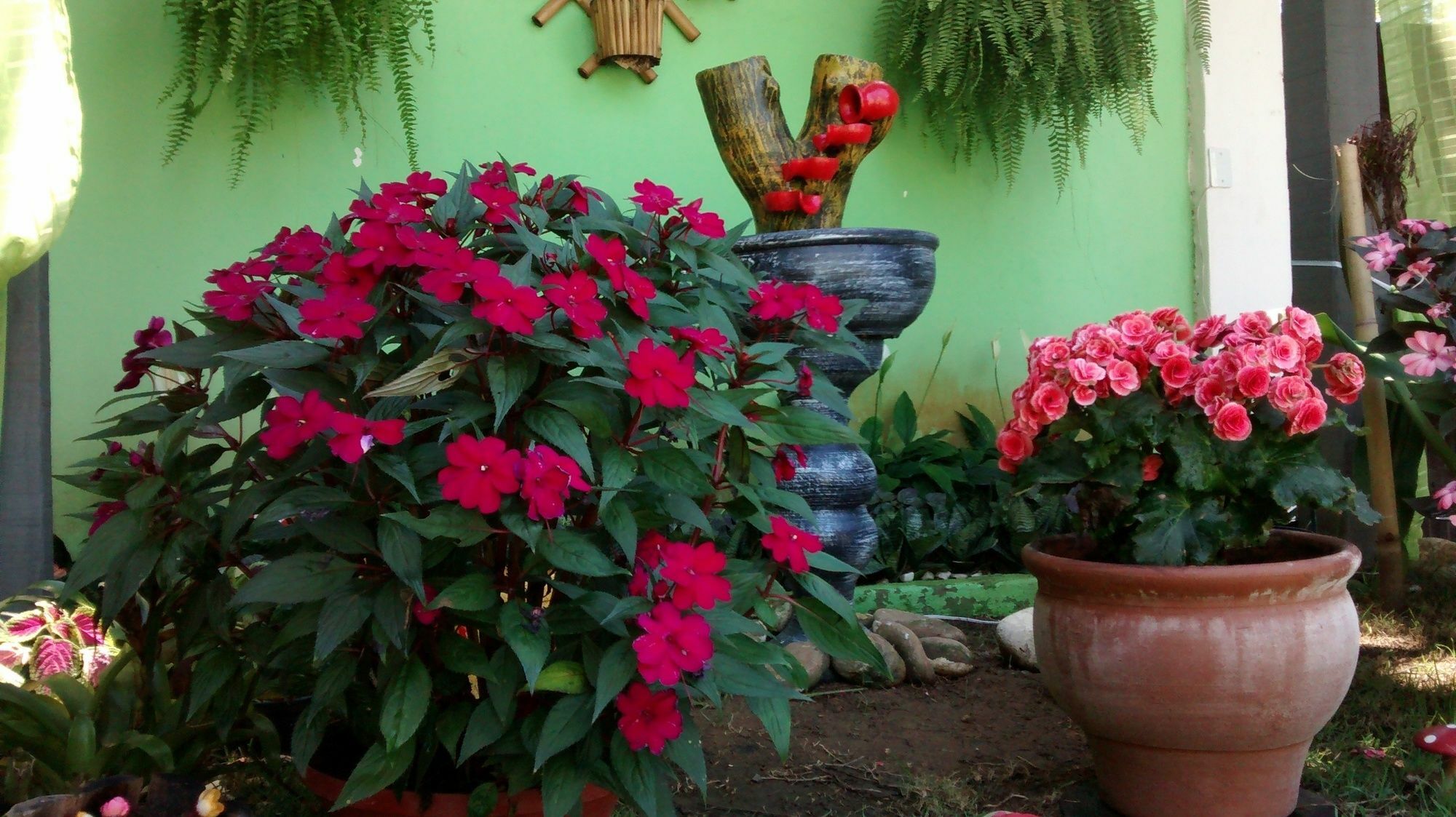 Pousada Flora Buzios Dış mekan fotoğraf